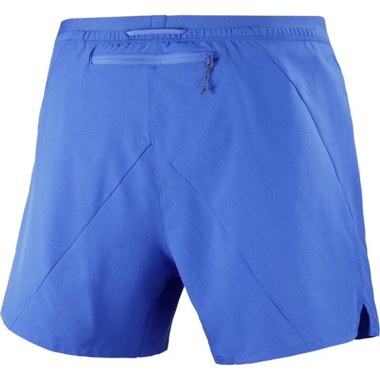 Blue Salomon Cross 5'' Men's Shorts | IE ST8497